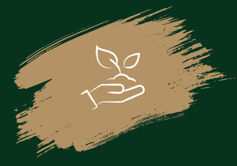 Sustainable Living